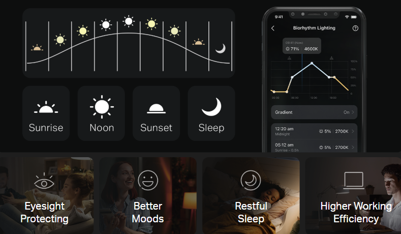  Auto Biorhythm Lighting